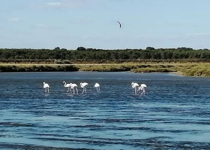 Anthemis アパート フロンティニャン