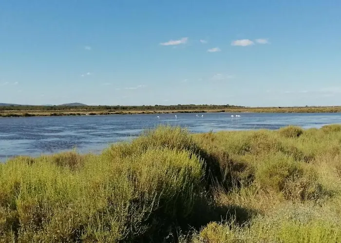 Anthemis アパート *