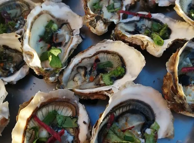 Anthemis アパート