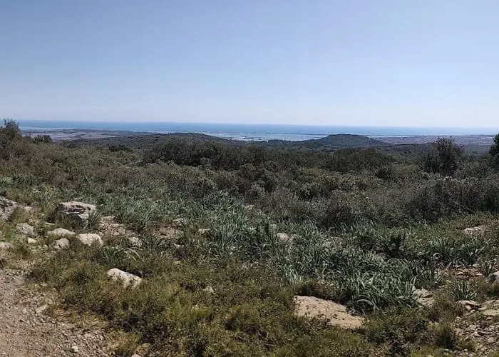 Anthemis アパート フロンティニャン