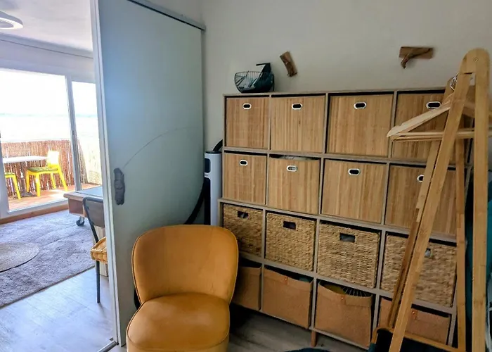 Anthemis * フロンティニャン